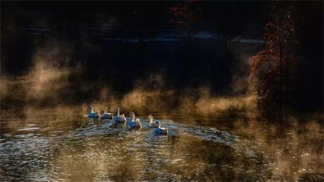 为什么你总是戒不掉熬夜？熬夜的时候你都在做什么？游戏画面