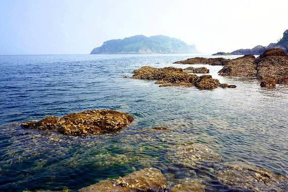 冷知识分享平台-异地恋需要一整天都聊天吗?,百科里的小秘密
